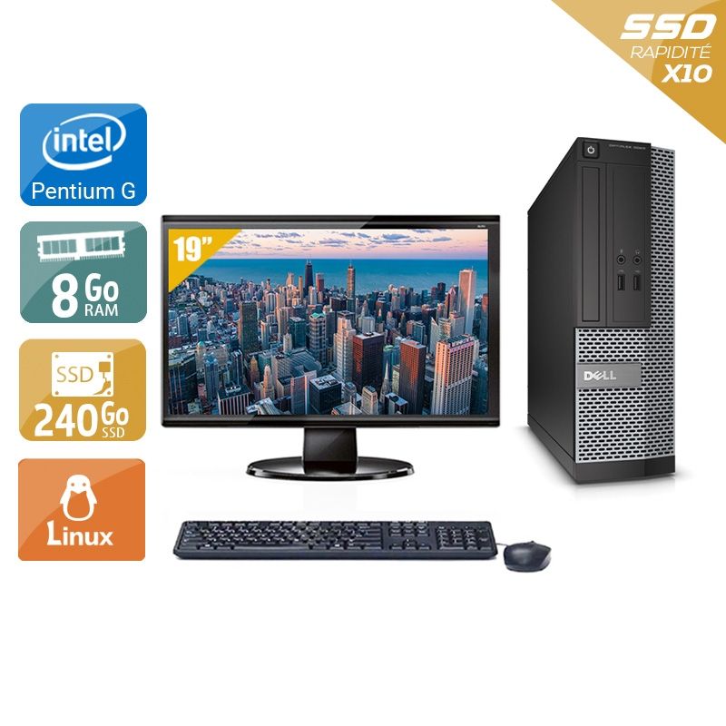 Dell Optiplex 3010 SFF Pentium G Dual Core avec Écran 19 pouces 8Go RAM 240Go SSD Linux