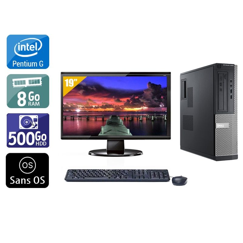 Dell Optiplex 3010 Desktop Pentium G Dual Core avec Écran 19 pouces 8Go RAM 500Go HDD Sans OS