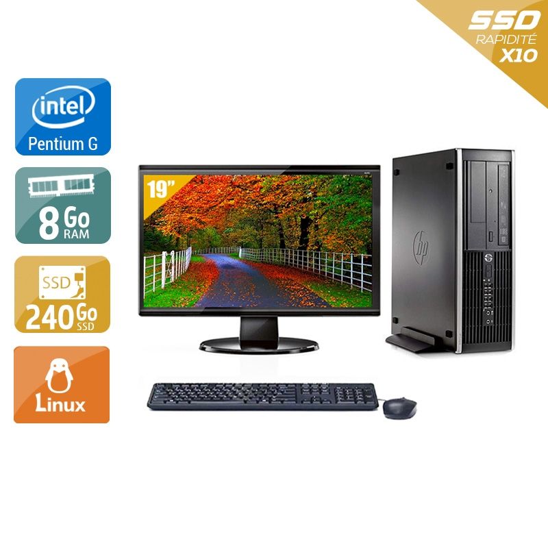 HP Compaq Pro 6300 SFF Pentium G Dual Core avec Écran 19 pouces 8Go RAM 240Go SSD Linux