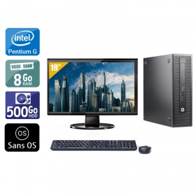 HP ProDesk 600 G2 SFF Pentium G Dual Core Gen 6 avec Écran 19 pouces 8Go RAM 500Go HDD Sans OS