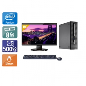 HP ProDesk 400 G1 SFF Pentium G Dual Core avec Écran 19 pouces 8Go RAM 500Go HDD Linux