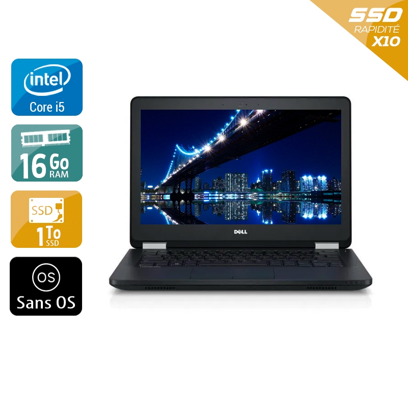Dell Latitude E5270 i5 Gen 6 16Go RAM 1To SSD Sans OS