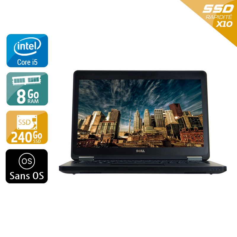 Dell Latitude e5250 12,5" i5 - 8Go RAM 240Go SSD Sans OS